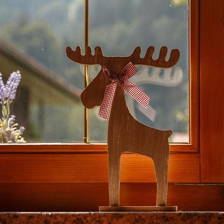 Montafon Alpen Chalet ヴァンダンス エクステリア 写真