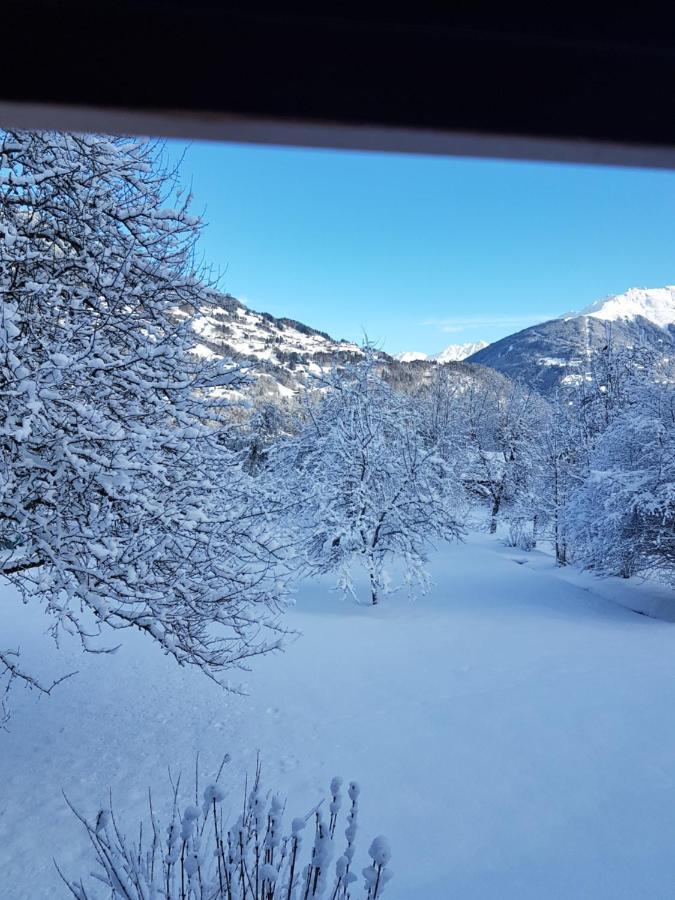 Montafon Alpen Chalet ヴァンダンス エクステリア 写真